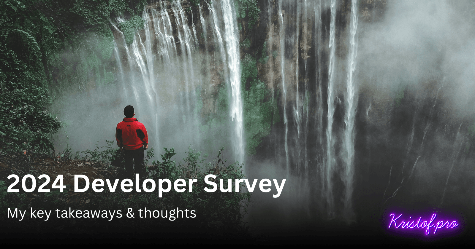 2024 Developer Survey